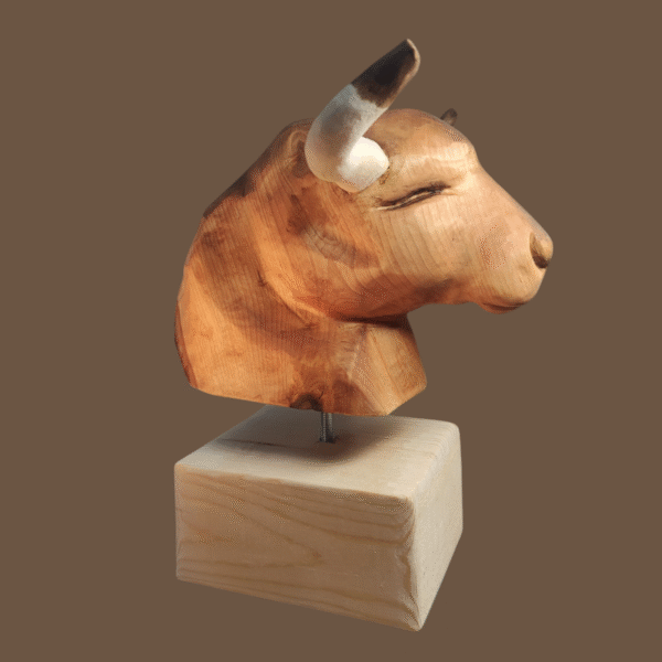 Testa di toro - immagine 3