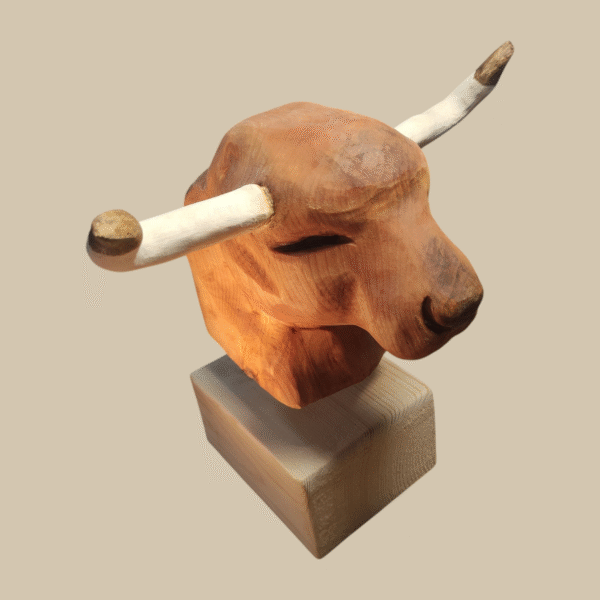 Testa di toro - immagine 6
